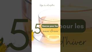 5 tisanes pour les maux de l'hiver #tisane #phytothérapie