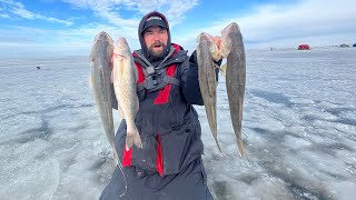 Early Ice Red Lake Walleye Fishing 2021 (LIMITS)