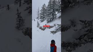 Grand Targhee drops!!!?