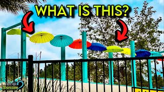 Interesting Additions at Six Flags Magic Mountain! Magic Mountain Update!