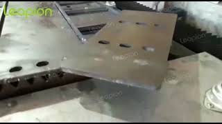 Leapion fiber laser cutting machine in Iran customer factory