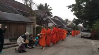 Luang Prabang morning alms giving