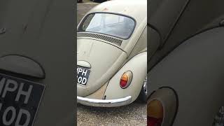 1966 patina beetle !