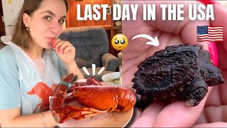 Eating My First LOBSTER! We Saved a Baby Snapping Turtle and saw a SEAL! A French Girl in the USA 🇺🇸