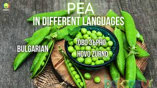 Exploring the Word for Pea in Different Languages