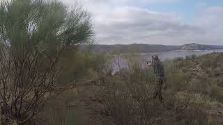 coto intensivo el Posial de Don Julián perdices al salto en Extremadura