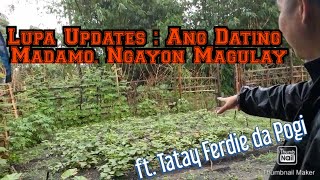 Updates sa Lupa : Ang Dating Madamo, Ngayon Magulay na!