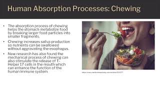 Concepts in Nutrition: Human Absorption