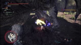 MHW: Iceborne™ Saccred Yian Garuga Fight 2020-Jan