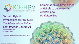 ICE-HBV Cure Symposium 2021 - Combinations of direct acting antivirals to decrease the cccDNA pool