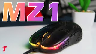 Xtrfy MZ1 Zy's Rail Review - Can't Recommend?  (Rocket Jump Ninja Mouse)