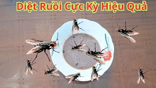 Khi Nhà Ruồi Quá Nhiều. Chỉ Cần 1 Dĩa Này Ruồi Sẻ Chết Sạch. Cách Diệt Ruồi Đơn Giản Nhất Hiệu Quả N