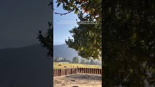 Chowgan Kishtwar Jammu And Kashmir | Kishtwariyat #shortsfeed #ytshorts