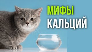 Добавлять ли кальций в корм или натуралку?