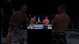 Max Holloway using the spinning back kick as an entry counter #ufc