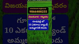 Land for Sale in Gudavalli | Gannavaram | Vijayawada | గూడవల్లి | 9866400255 | #krishnadistrict