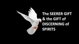 2MY Family Vid 1 | Discerning of Spirits (Seer) Gift #godsholyspirit #godsglory #love #lovewarriors