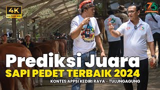 Prediksi Juara Sapi Pedet Sambil Mencari Target Buruan