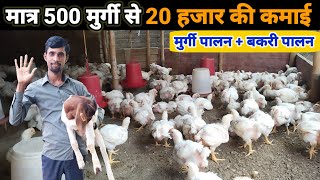 मुर्गी पालन के साथ बकरी पालन से मोटा कमाई | Murgi Palan Business #Poultry farming