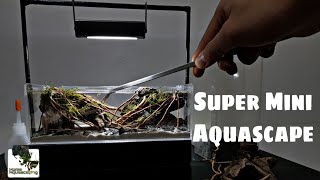 Aquascaping Mini Aquarium - Step by Step