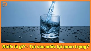 Nước là gì? Tính chất của nước - Tại sao nước lại quan trọng? 16 lý do để uống đủ nước