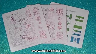 Cici&Sisi Acrylic Plates Nail Stamping