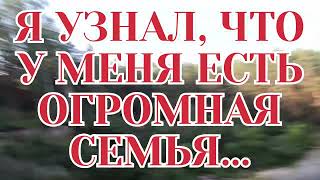 Я УЗНАЛ, ЧТО У МЕНЯ ЕСТЬ ОГРОМНАЯ СЕМЬЯ