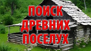 Поиск древних поселух. Интересные находки в лесу.