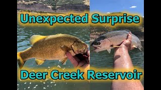 Deer Creek Reservoir--An Unexpected Surprise