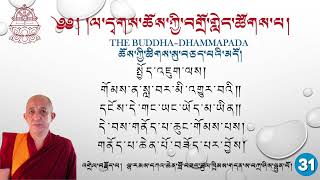 Day-31 The Buddha-Dhammapada  ཆོས་ཀྱི་ཚིགས་སུ་བཅད་པའི་མདོ། དཀའ་ཆེན་ཚུལ་ཁྲིམས། ལ་དྭགས་ཀྱི་སྐད།