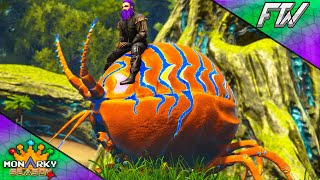 I Tamed all 3 of the New Bugs!!! - Monarky 👑