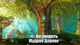 AION Classic глазами новичка