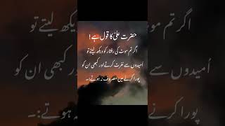 Hazrat Ali quotes 🥀❤️🥺 #islamicquotes #urdu #motivation #urdupoetry #viralvideos