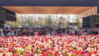 Keukenhof