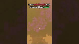 Most unbelievable seeds frfr 💯😁...  #minecrafthumor #minecraft #funnyshorts #gaming #relatable #fyp