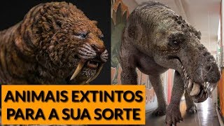 TOP 7 ANIMAIS EXTINTOS PARA A SUA SORTE