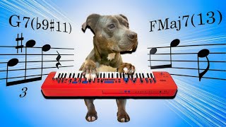 music theory of MY DOG'S synth solo