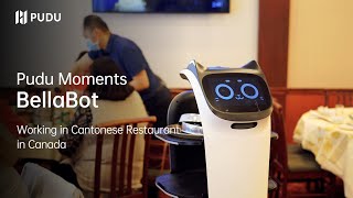 BellaBot was employed by a Cantonese restaurant in Canada | Pudu Robotics