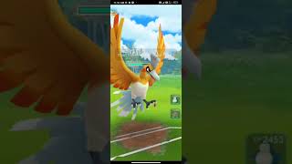 ✨shiny HO-oh vs Mega venusaur battle in Pokemon go