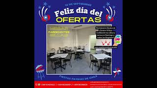 🪑 ¡Muebles por Fiestas Patrias únicos y resistentes! +569 85262801