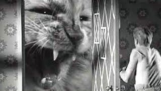 💥GIANT CAT ATTACKS! 💥The Incredible Shrinking Man😲