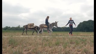 Ken jij de pracht van Lommel al?