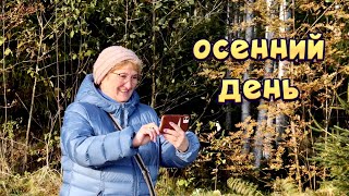 Autumn / осенний прохладный день