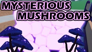 How to farm Mysterious Mushrooms in Oaklands!