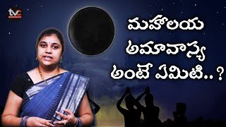 మహాలయ అమావాస్య అంటే ఏమిటి..? | Significance of Mahalaya Amavasya.! |TvcSanatanam