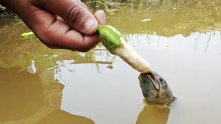 Unbelievable Fish catching Technic | Crazy Fish come out from River & catch by Raw Banana 🍌