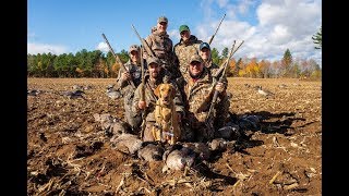 Chasse à l'outarde, en bonne compagnie