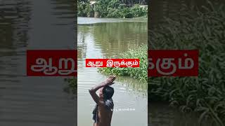 #shortvideo #shorts #trending ஆறு இருக்கும் #velmahesh #travel #tamil #river #love