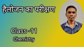 हैलोजन का परीक्षण Class -11 Ncert Chemistry |