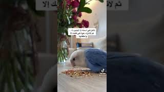 راحه نفسيه//حالات واتس اب// قران كريم// آيات قصيرة ❤️....